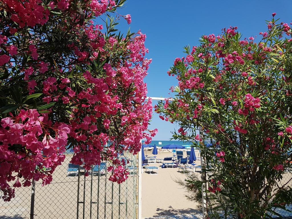 Hotel Gabbiano Beach Vieste Exterior foto